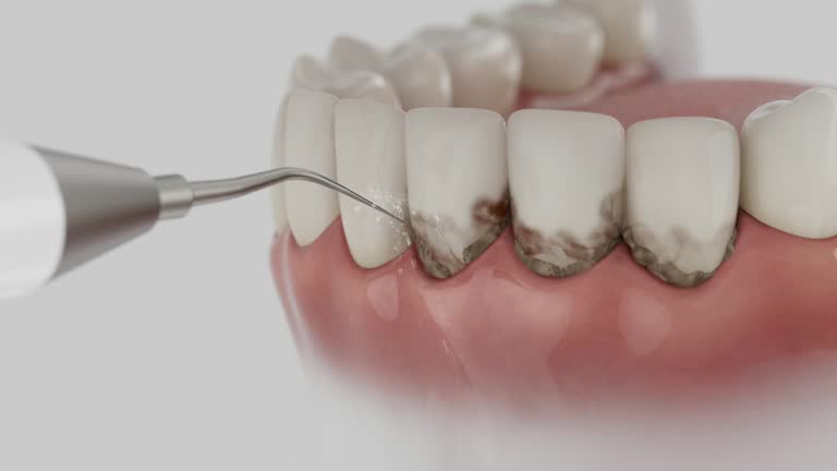 Reliable Dental contractor in Robinhood, MS by Dentist Open Now